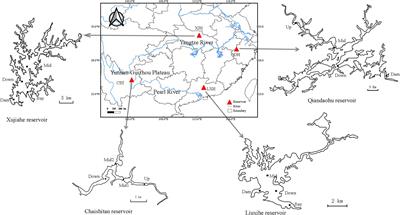 Spatial and temporal variation of genetic diversity and genetic differentiation in Daphnia galeata populations in four large reservoirs in southern China